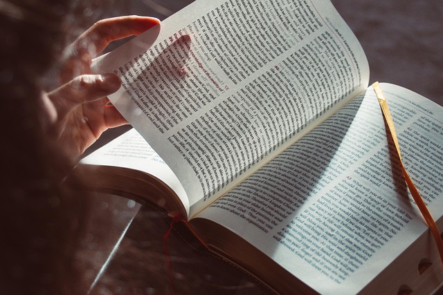 Oskar holmgren: Fra manuskript til bestseller – en ny bog på vej