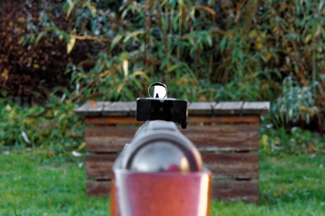 Sådan indstiller og vedligeholder du dit luftgevær